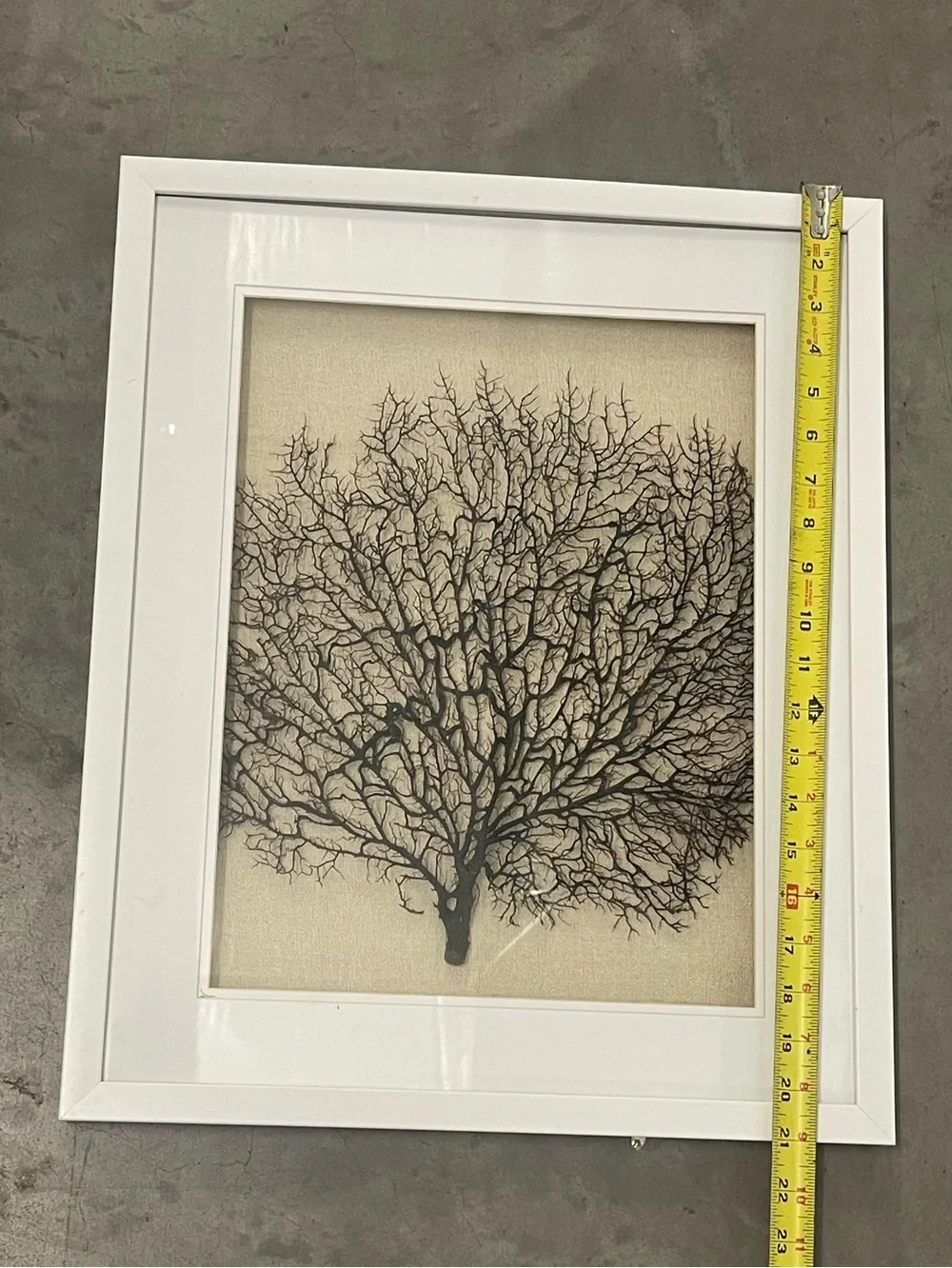 ✨ Faux Black Sea Fan Coral Framed Wall Art Set of 2 Coastal Boho Decor ✨
